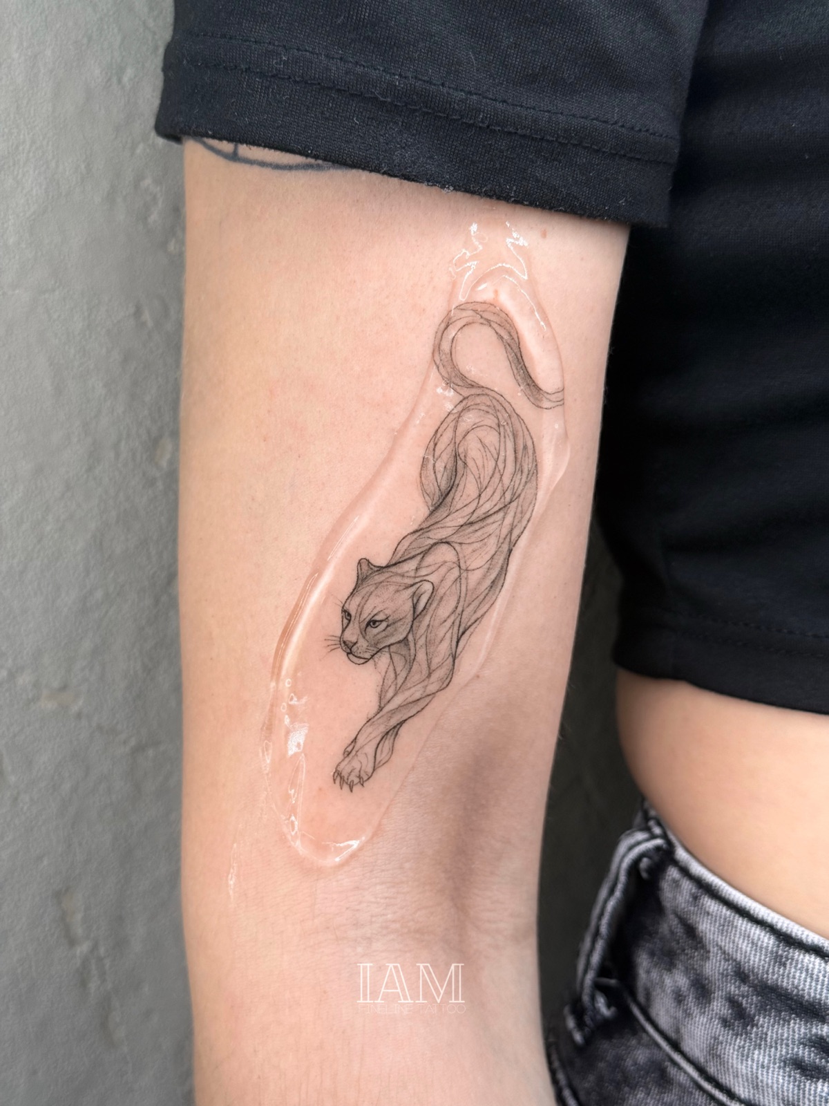 Samuel Alexandre fine line tattoo munka